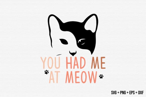 You Had Me at Meow Cat Retro Design